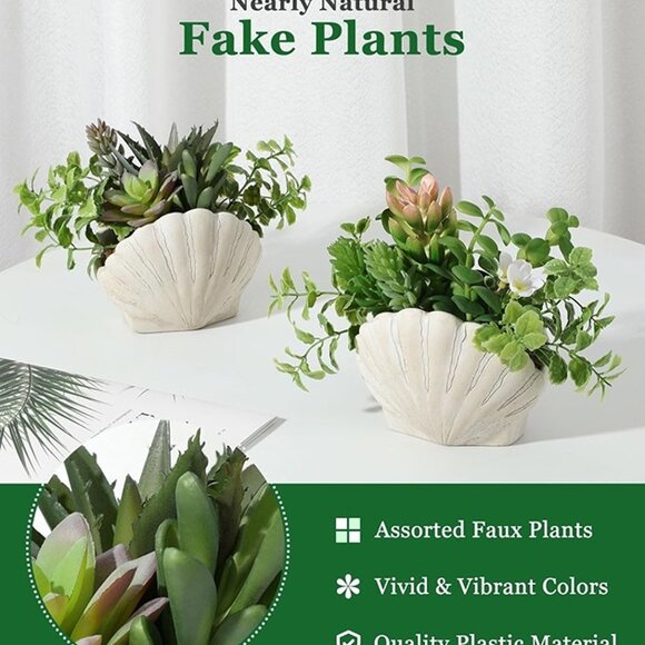 NEW Set of 2, Assorted Faux Succulents Artificial Plants with Sea Shell Pots - Picture 3 of 8